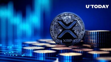 XRP يحصل على فيلم وثائقي خاص به - اكتشف التفاصيل الآن!