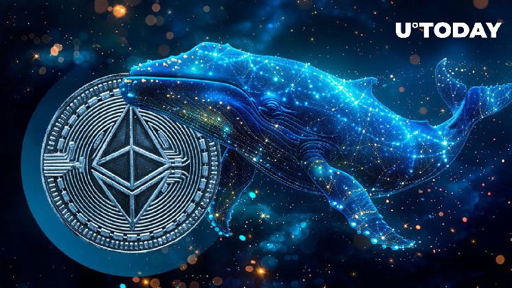 حوت الإيثريوم النائم يستيقظ بملايين ETH بعد 9 سنوات - اكتشف التفاصيل!