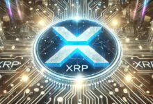 يتوقع خبراء فايندر ارتفاعاً محتملاً في سعر XRP - اقرأ المزيد!