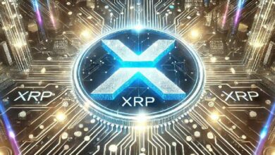 يتوقع خبراء فايندر ارتفاعاً محتملاً في سعر XRP - اقرأ المزيد!