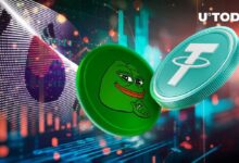 أكبر منصة تداول كورية تضيف زوج PEPE/USDT، ارتفاع PEPE بنسبة 13٪ - تعرف على التفاصيل!