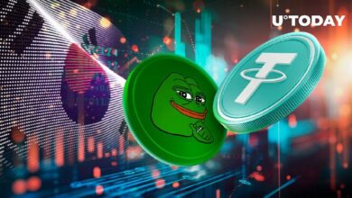 أكبر منصة تداول كورية تضيف زوج PEPE/USDT، ارتفاع PEPE بنسبة 13٪ - تعرف على التفاصيل!