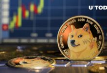 قفزة نشاط شبكة دوجكوين (DOGE) مع تعافي السعر بنسبة 14٪ - اكتشف المزيد الآن!