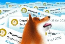 سعر الدوجكوين (DOGE) قد يرتفع بنسبة 90% بعد تغريدة إيلون ماسك "D.O.G.E"