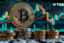 هل هناك انتعاش للبيتكوين في الربع الرابع؟ سعر BTC قد يرتفع إذا استمر الاتجاه السابق