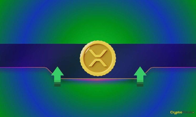 تحليل سعر الريبل: اكتشف التفاصيل حول حركة XRP القادمة