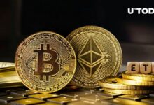 صناديق الاستثمار المتداولة لإيثريوم (ETH) تعاني بينما تزدهر صناديق بيتكوين - اكتشف المزيد!