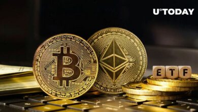 صناديق الاستثمار المتداولة لإيثريوم (ETH) تعاني بينما تزدهر صناديق بيتكوين - اكتشف المزيد!