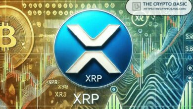 تحليل سعر XRP: ارتفاع الطلب على شبكة XRPL رغم انخفاض سوق العملات الرقمية بقيمة 28 مليار دولار