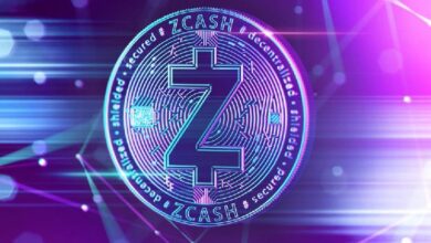 MetaMask تدعم Zcash: تمويل 150 ألف دولار لتطوير ZEC المحمي - اكتشف المزيد