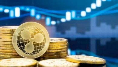 خبراء التمويل يتوقعون سعر XRP بحلول نهاية 2024