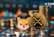 اكتشف العلاقة الغريبة بين XRP وشيبا إينو (SHIB): التفاصيل