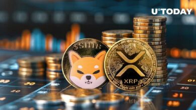 اكتشف العلاقة الغريبة بين XRP وشيبا إينو (SHIB): التفاصيل