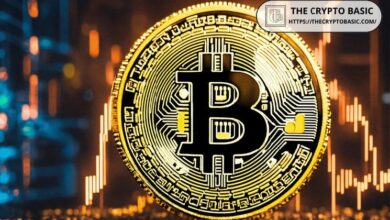 لماذا قد يفشل سعر البيتكوين (BTC) في الوصول إلى 65,000 دولار هذا الأسبوع؟ اضغط لمعرفة الأسباب