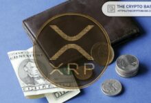 هل تعتبر رسوم احتياطي XRP عائقاً أمام التبني؟ مستثمر في البيتكوين يشارك رأيه