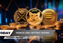 انتعاش هائل في سعر XRP، Shiba Inu (SHIB) الأضعف في المجموعة، لا تدع سعر Solana (SOL) يخدعك