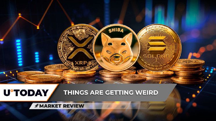 انتعاش هائل في سعر XRP، Shiba Inu (SHIB) الأضعف في المجموعة، لا تدع سعر Solana (SOL) يخدعك