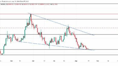 سعر BONK يرتفع في منطقة منخفضة أعلى؛ هل يمكن أن يحقق زيادة بنسبة 100%؟