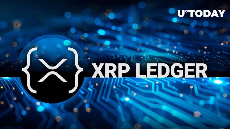 إعادة تعيين شبكة XRPL التجريبية بنجاح — اكتشف التحسينات الجديدة!