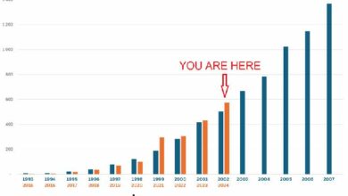 الإنترنت 2002 مقابل العملات المشفرة 2024: اكتشف الفروقات الآن