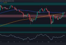 تحليل سعر البيتكوين: هذا المستوى الحرج سيحدد ما إذا كان $68K أو $60K هو الهدف التالي لـ BTC