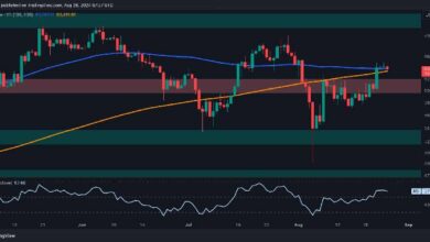 تحليل سعر البيتكوين: هذا المستوى الحرج سيحدد ما إذا كان $68K أو $60K هو الهدف التالي لـ BTC