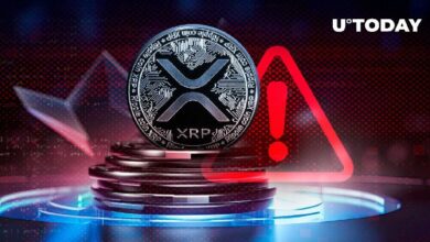 تلقى مجتمع XRP تحذيرًا خطيرًا — اكتشف ما يثير القلق