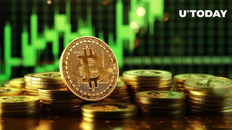 البيتكوين "يتجه للأعلى" بعد زيادة بنسبة 9700% في السعر، توقعات رئيس Bitwise المالي