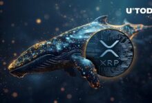 ظهور حوت XRP ضخم بعد تحويل 99 مليون رمز! اُقرأ المزيد!