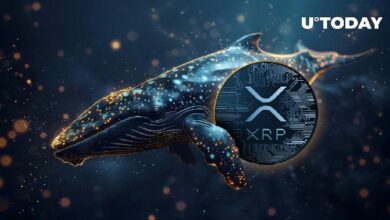 ظهور حوت XRP ضخم بعد تحويل 99 مليون رمز! اُقرأ المزيد!