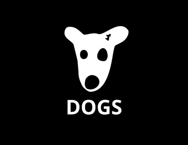 ميم كوين TON DOGS تُحقق مكاسب هائلة بين أكبر 100 بارتفاع 30% - اكتشف الآن!