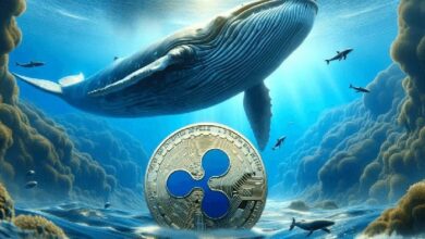 الحيتان تستمر في شراء XRP رغم هبوط السوق: هل حان وقت التألق؟