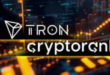 تقرير TRON للنصف الأول من 2024 من Cryptorank: من العملات المستقرة إلى تكامل البيتكوين - اكتشف المزيد الآن!