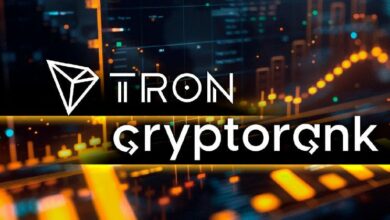 تقرير TRON للنصف الأول من 2024 من Cryptorank: من العملات المستقرة إلى تكامل البيتكوين - اكتشف المزيد الآن!