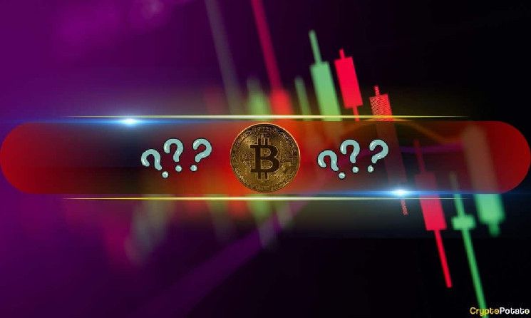 تعرف على العملات الرقمية البديلة الأكثر تراجعا مع هبوط بيتكوين (BTC) دون 63 ألف دولار (تقرير السوق)