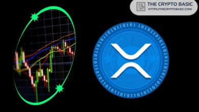 الخبراء يقولون أن XRP يمكن أن يصل إلى 1000X؛ لا تبيع الآن!