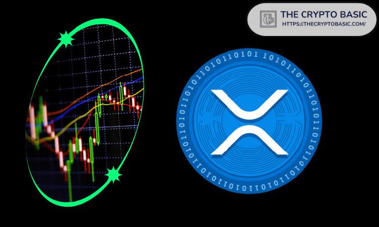 الخبراء يقولون أن XRP يمكن أن يصل إلى 1000X؛ لا تبيع الآن!