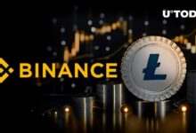 ملايين في لايتكوين (LTC) تُذهل أكبر بورصة في العالم – حركة سوق كبيرة على الأفق؟