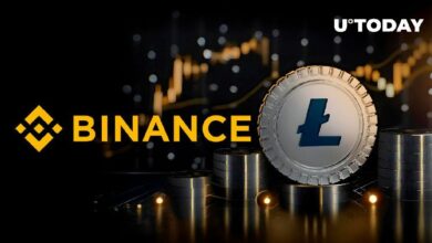 ملايين في لايتكوين (LTC) تُذهل أكبر بورصة في العالم – حركة سوق كبيرة على الأفق؟