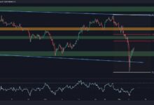 تحليل سعر البيتكوين: هدفان لـ BTC بعد الانهيار تحت 50 ألف دولار والارتداد اللاحق - اكتشف الفرص الآن!