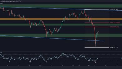 تحليل سعر البيتكوين: هدفان لـ BTC بعد الانهيار تحت 50 ألف دولار والارتداد اللاحق - اكتشف الفرص الآن!