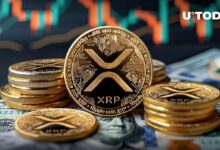 تحويل غامض بقيمة 100 مليون XRP يثير تساؤلات: هل اقترب ارتفاع سعر XRP؟