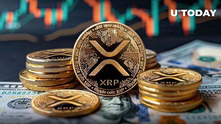 تحويل غامض بقيمة 100 مليون XRP يثير تساؤلات: هل اقترب ارتفاع سعر XRP؟