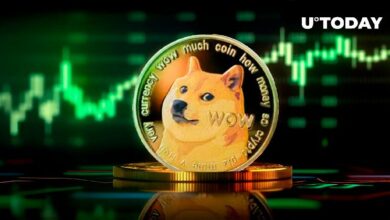 دوجكوين (DOGE) ضمن أفضل 3 أصول تداول خلال 24 ساعة: اكتشف المزيد