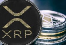 سعر XRP يصل إلى الدعم: هل سيحفز انعكاس السوق؟