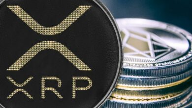 سعر XRP يصل إلى الدعم: هل سيحفز انعكاس السوق؟