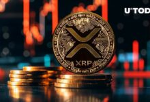 هبوط XRP بنسبة 5% في ساعات قليلة: اكتشف الأسباب الآن!