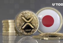 هل يرتبط هبوط سعر XRP بأزمة البنوك في اليابان؟ اكتشف التفاصيل الآن!