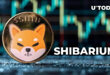 سعر SHIB يتخطى التوقعات رغم انخفاض 88.24% في مقياس Shibarium الرئيسي - اكتشف التفاصيل الآن!