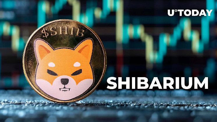 سعر SHIB يتخطى التوقعات رغم انخفاض 88.24% في مقياس Shibarium الرئيسي - اكتشف التفاصيل الآن!